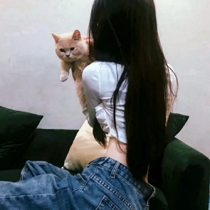 鲸之歌